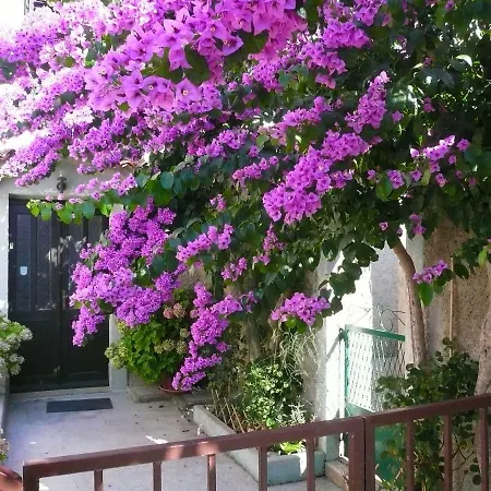 Pensión Palma Mali Lošinj